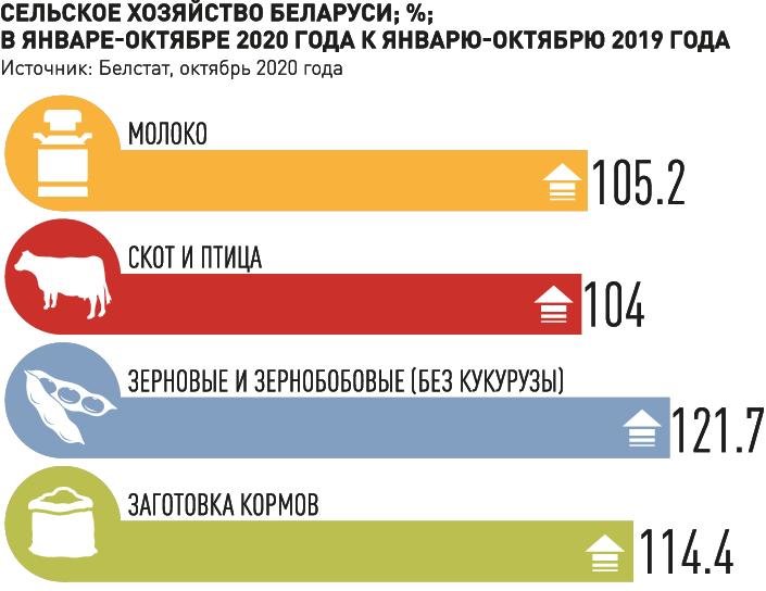 Как СГ обеспечивает продовольственную безопасность своих граждан