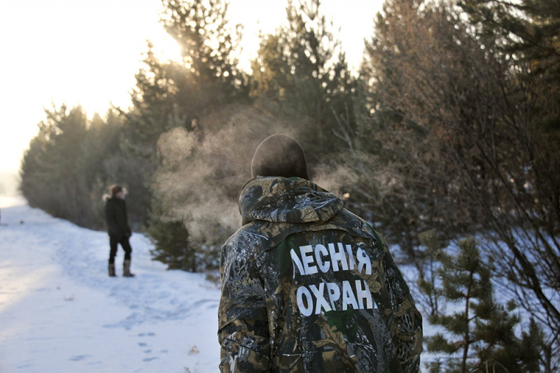 Модернизация системы ЛесЕГАИС окупится через максимум через пять лет