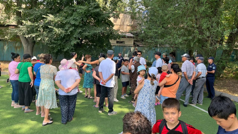 На 11-летнего мальчика напали собаки в Алматинской области 